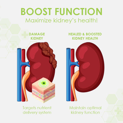 Ceoerty™ KidneyCare PROBoost Patch